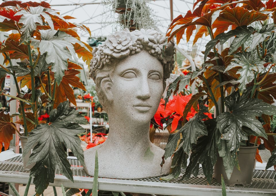 2024: The Year of Slow